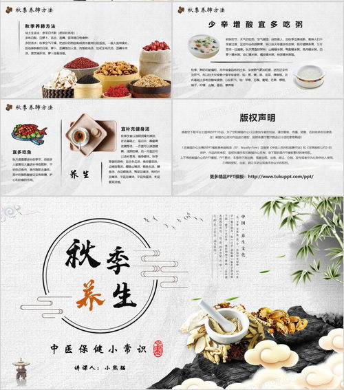 國風秋韻話養生 中醫保健知識講座PPT模板（熊貓辦公）