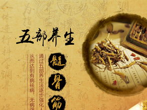 融合中醫(yī)養(yǎng)生文化，打造專(zhuān)業(yè)展板設(shè)計(jì)——高清PSD模板助力企業(yè)健康服務(wù)推廣