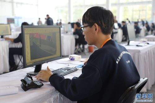第五屆全國(guó)電子信息服務(wù)業(yè)職業(yè)技能競(jìng)賽在滄州圓滿(mǎn)舉行，聚焦信息技術(shù)咨詢(xún)服務(wù)